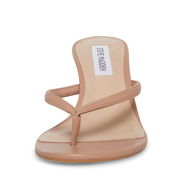 Steve Madden Addyson Tan Lær Heel Høye Hæler Dame Brune | SM-418ID