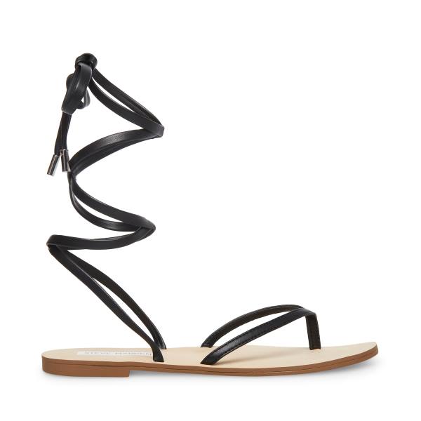 Steve Madden Anna Sandaler Dame Svarte | SM-402GK