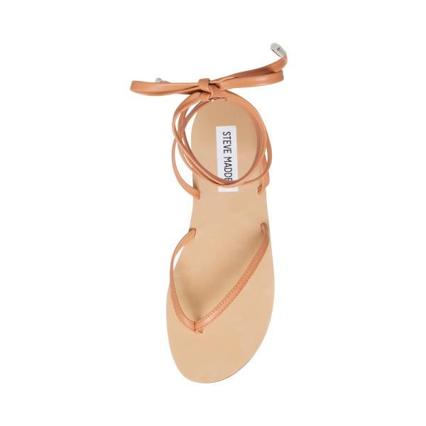 Steve Madden Anna Tan Sandaler Dame Brune | SM-823WP