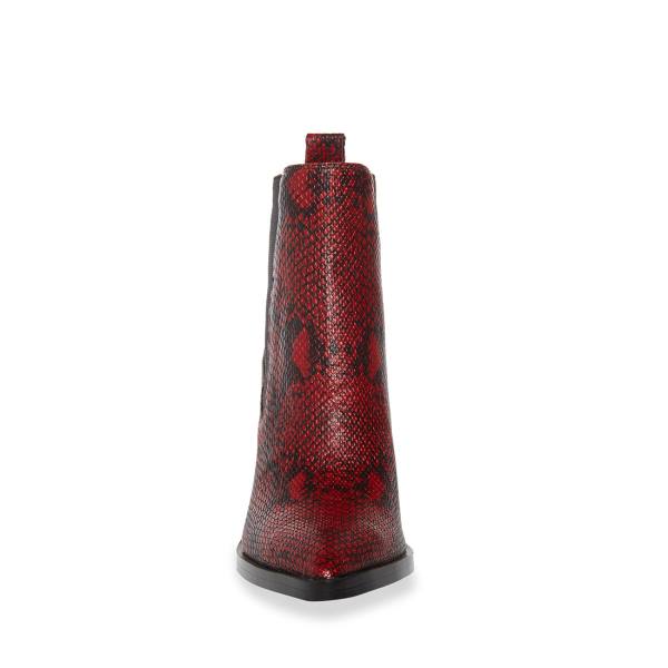 Steve Madden Caution Snake Ankelstøvletter Dame Rød Slangeprint | SM-809UF