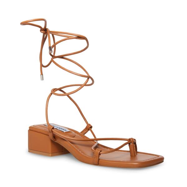 Steve Madden Claremont Tan Sandaler Dame Mørke Brune | SM-341TJ