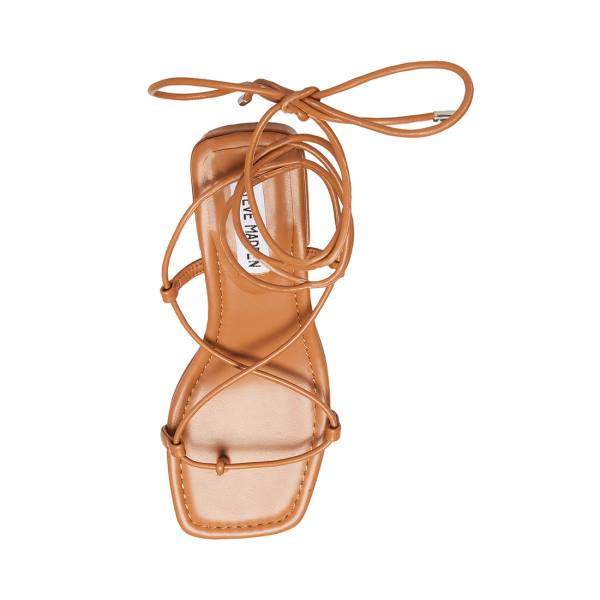 Steve Madden Claremont Tan Sandaler Dame Mørke Brune | SM-341TJ