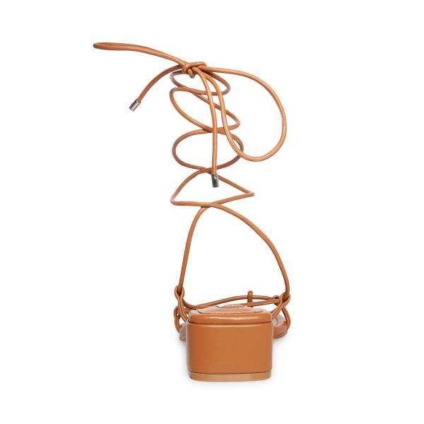 Steve Madden Claremont Tan Sandaler Dame Mørke Brune | SM-341TJ