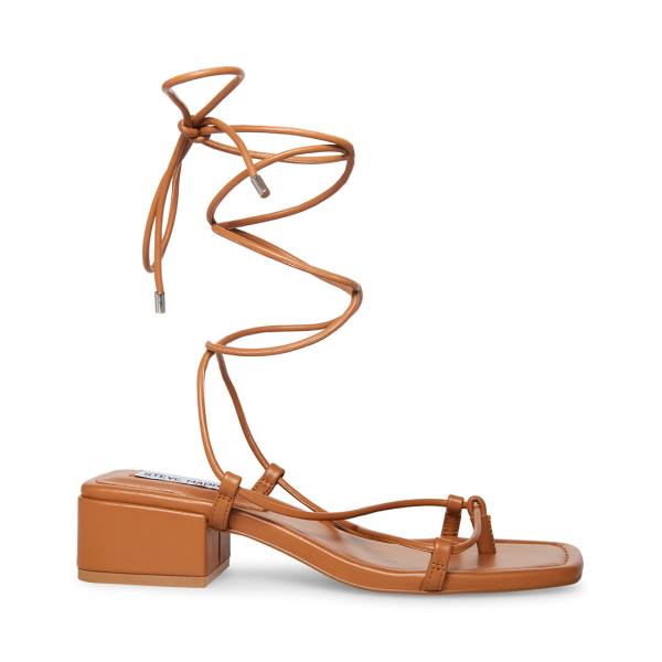 Steve Madden Claremont Tan Sandaler Dame Mørke Brune | SM-341TJ
