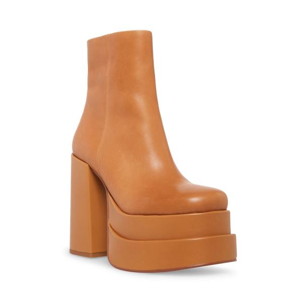 Steve Madden Cobra Tan Lær Ankelstøvletter Dame Brune | SM-182XO
