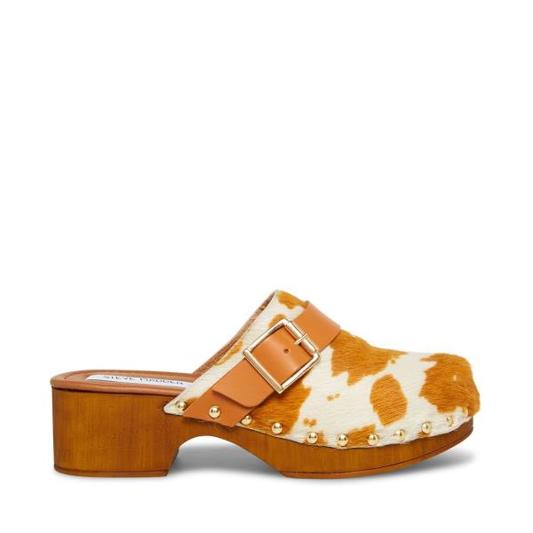 Steve Madden Dana-p Tan Heel Høye Hæler Dame Brune Brune | SM-925US