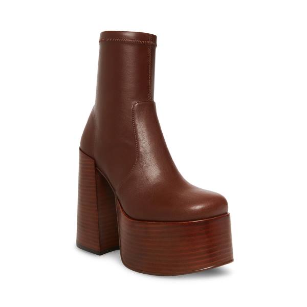 Steve Madden Eve Ankelstøvletter Dame Brune | SM-501UX