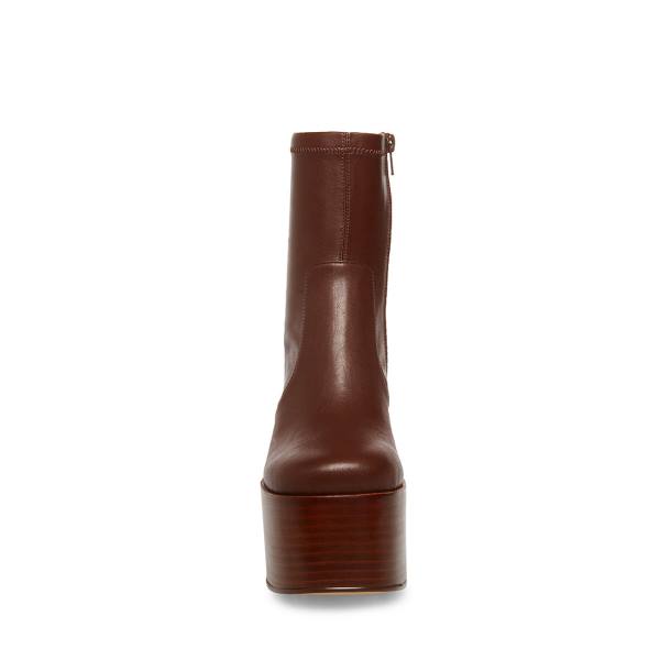 Steve Madden Eve Ankelstøvletter Dame Brune | SM-501UX
