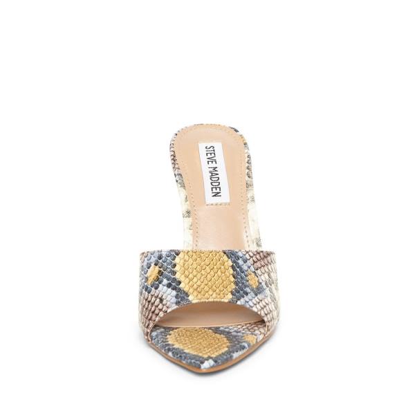 Steve Madden Feisty Snake Heel Høye Hæler Dame Slangeprint | SM-453IS