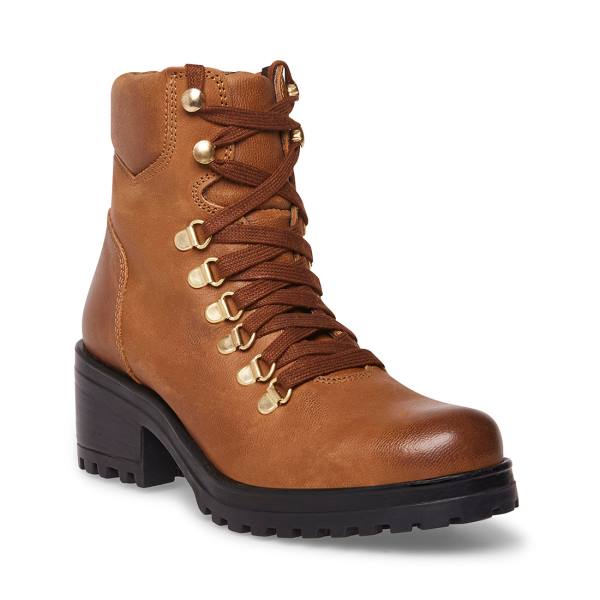 Steve Madden Galway Cognac Lær Ankelstøvletter Dame Brune | SM-479NM
