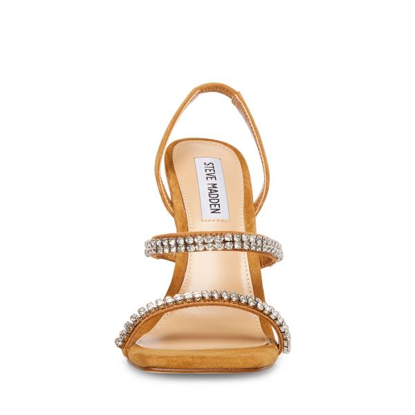 Steve Madden Grade-r Camel Heel Høye Hæler Dame Brune Multicolor | SM-876TJ