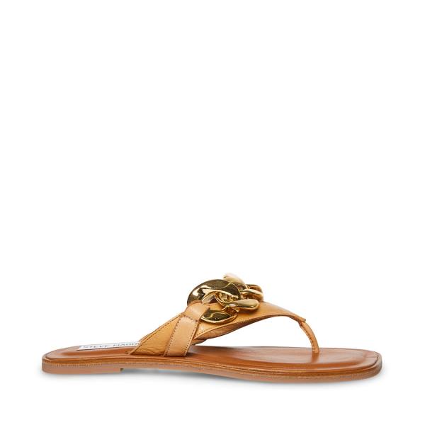 Steve Madden Hazel Tan Sandaler Dame Brune | SM-784IY