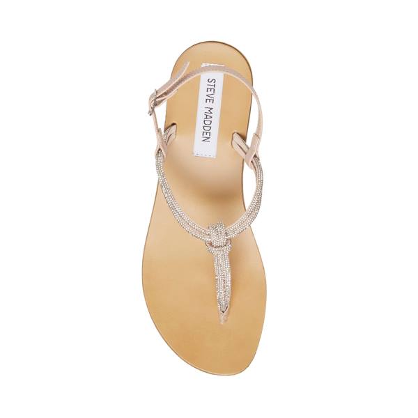 Steve Madden Judy Sandaler Dame Diamond | SM-329UC