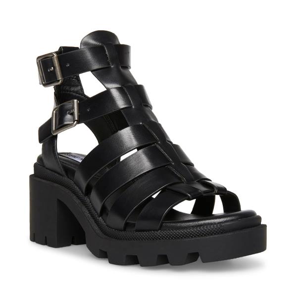 Steve Madden Maxen Sandaler Dame Svarte | SM-275XI