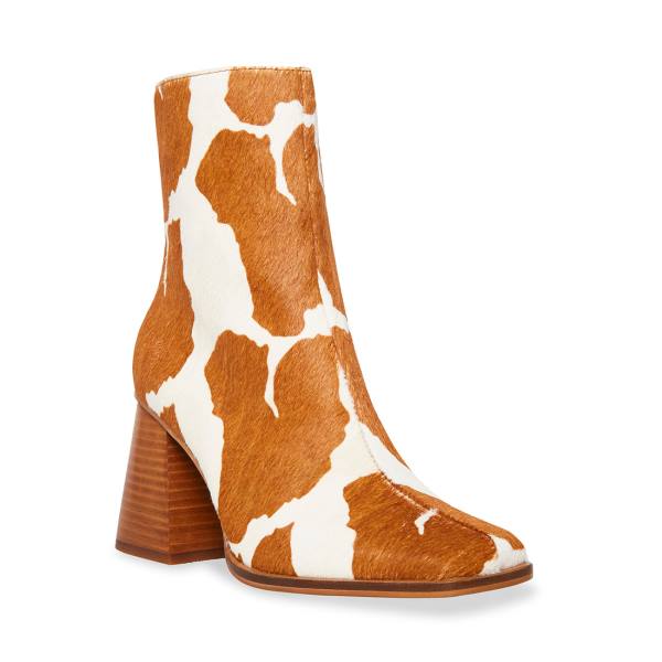 Steve Madden Nara-c Tan Ankelstøvletter Dame Brune Brune | SM-608EP