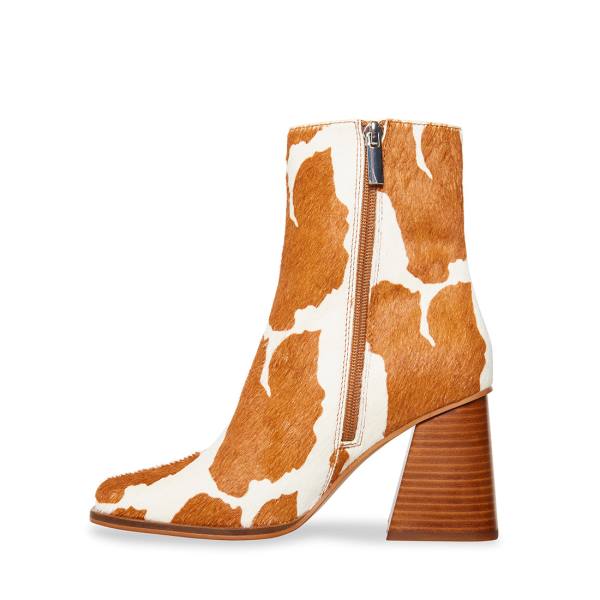 Steve Madden Nara-c Tan Ankelstøvletter Dame Brune Brune | SM-608EP
