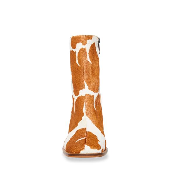 Steve Madden Nara-c Tan Ankelstøvletter Dame Brune Brune | SM-608EP