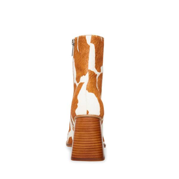 Steve Madden Nara-c Tan Ankelstøvletter Dame Brune Brune | SM-608EP
