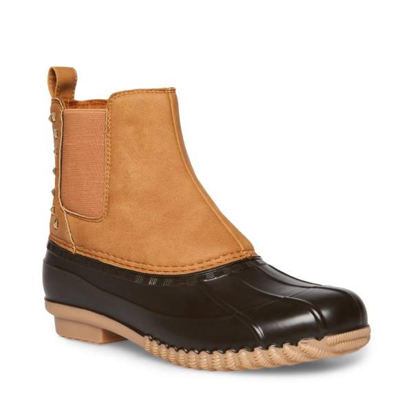 Steve Madden Newlin Tan Ankelstøvletter Dame Brune | SM-930JX