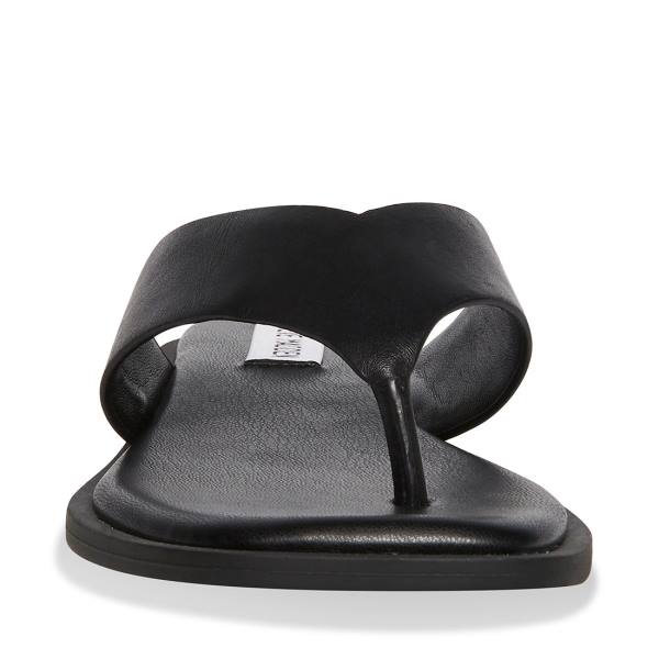 Steve Madden Norie Lær Sandaler Dame Svarte | SM-712YS