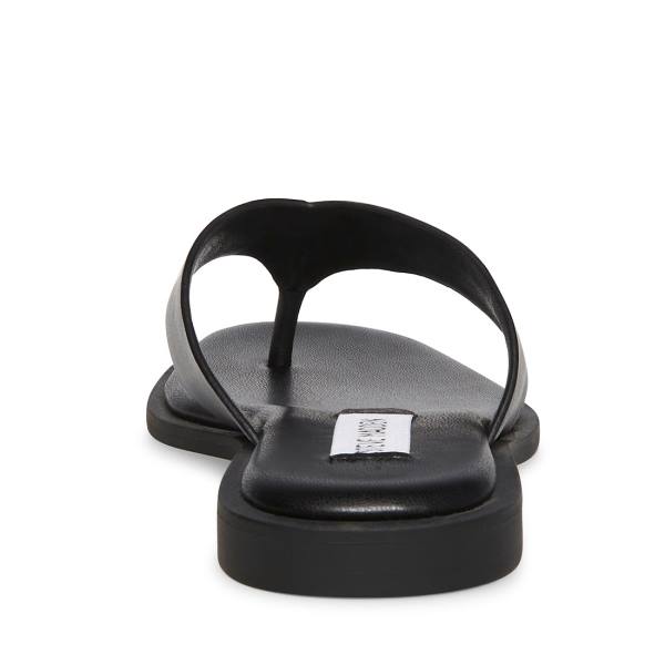 Steve Madden Norie Lær Sandaler Dame Svarte | SM-712YS