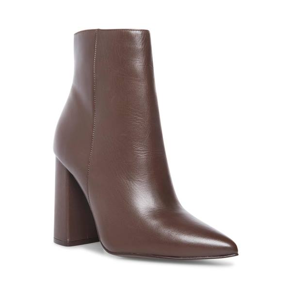 Steve Madden Noticed Burgundy Ankelstøvletter Dame Burgunder | SM-170CJ