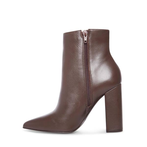 Steve Madden Noticed Burgundy Ankelstøvletter Dame Burgunder | SM-170CJ