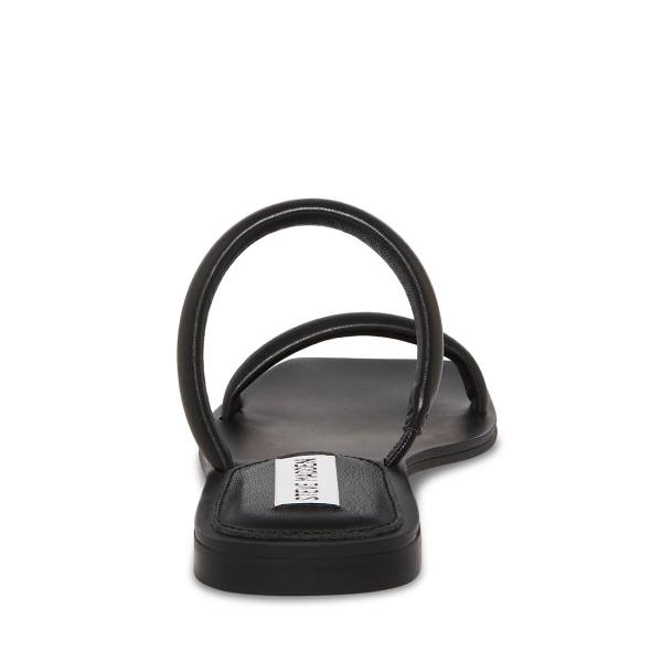 Steve Madden Pedra Sandaler Dame Svarte | SM-651AI