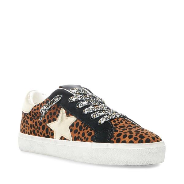 Steve Madden Philosophy Leopard Joggesko Dame Leopard Multicolor | SM-576YS