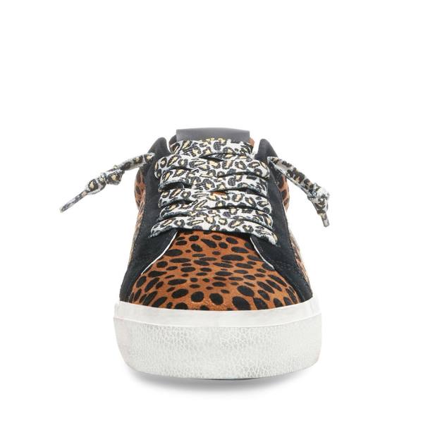 Steve Madden Philosophy Leopard Joggesko Dame Leopard Multicolor | SM-576YS