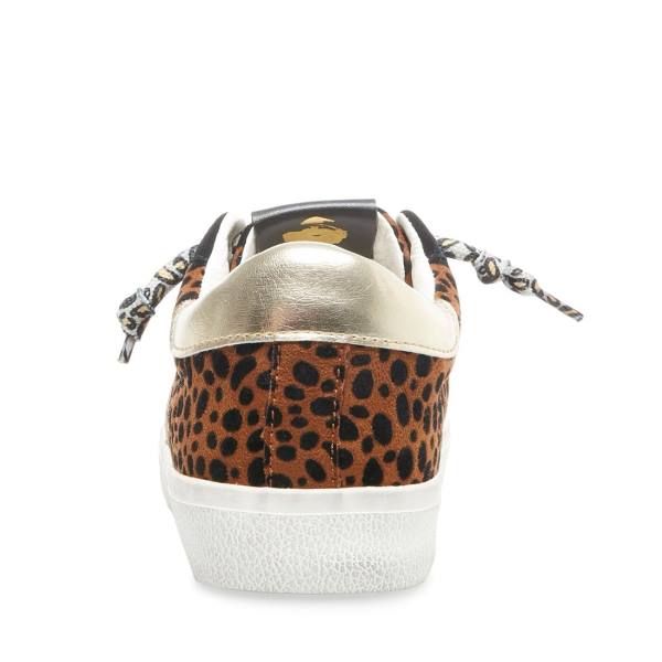 Steve Madden Philosophy Leopard Joggesko Dame Leopard Multicolor | SM-576YS