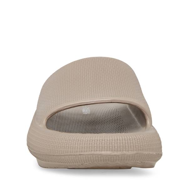 Steve Madden Scuba Taupe Sandaler Dame Grå Brune | SM-543YD