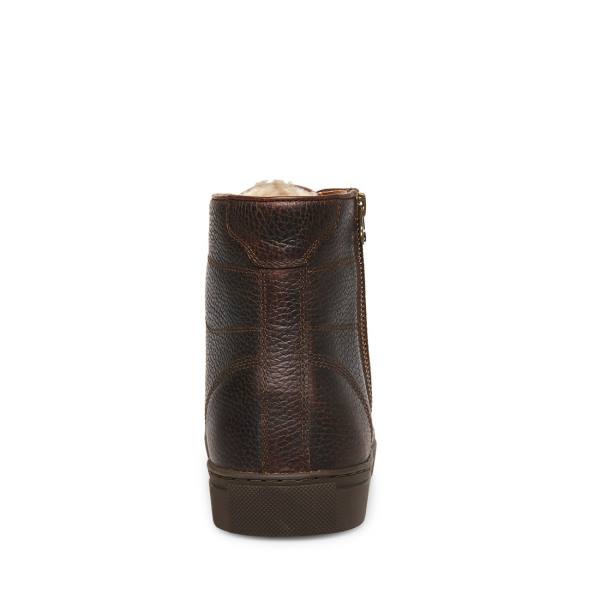 Steve Madden Slash Lær Joggesko Herre Brune | SM-291CV