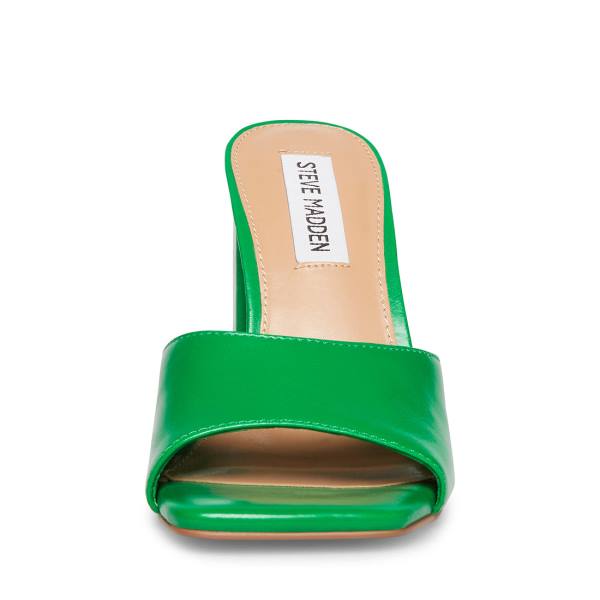 Steve Madden Trendy Lær Heel Høye Hæler Dame Grønn | SM-953HI
