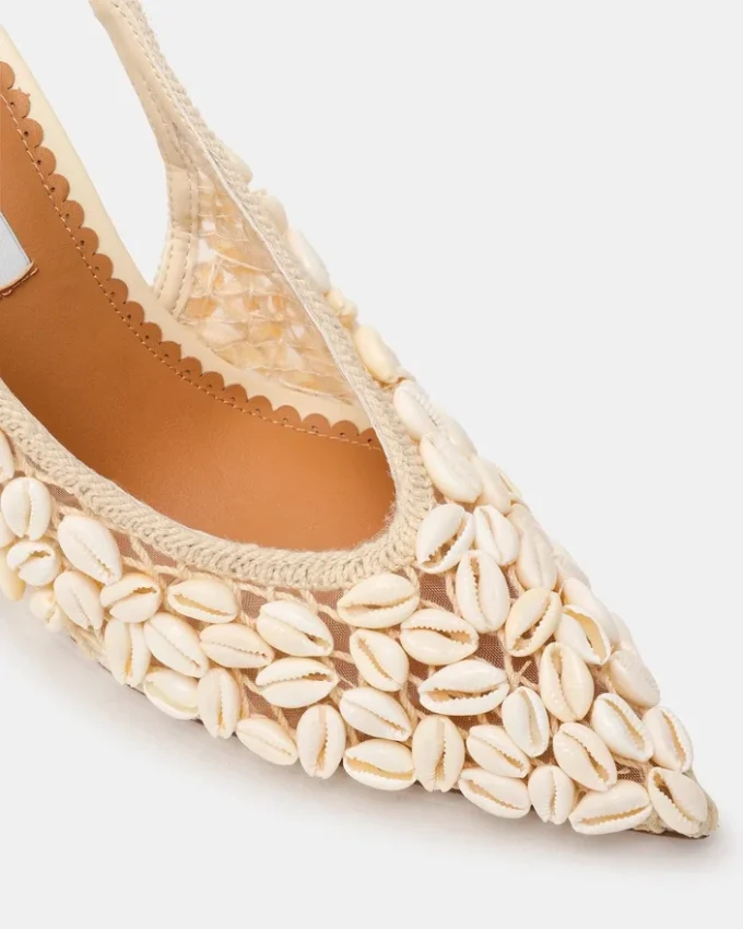 Andromeda Shell Natural