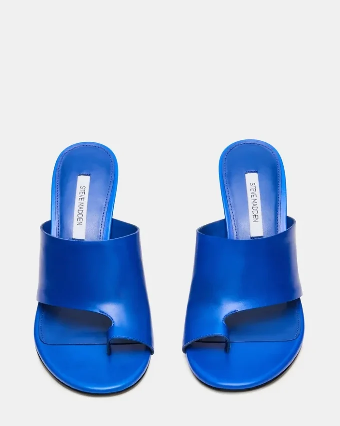 Valentin blått skinn